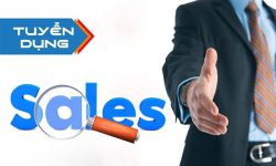 Tuyển dụng vị trí Nhân viên Kinh doanh – Sales