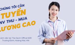 Tuyển dụng vị trí Nhân viên mua hàng